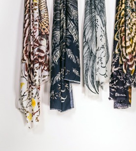 Shovava collection